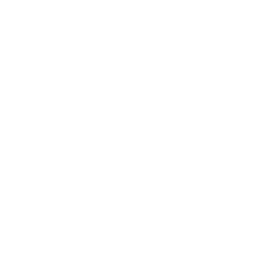 Logo Conversion - Image 7